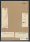 Isthmiella capensis Grun. (de-Toni-Nr.: Genus 116, Species 3332) Zeichnungen Sammlung Grunow Nr. 6740 (NHMW-BOT-W0375557)